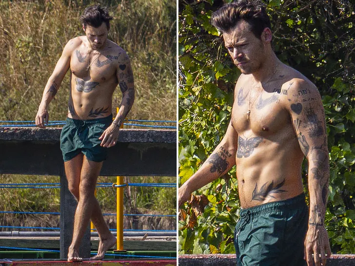 Harry Styles Flaunts Chiseled Bod by an English Duck Pond